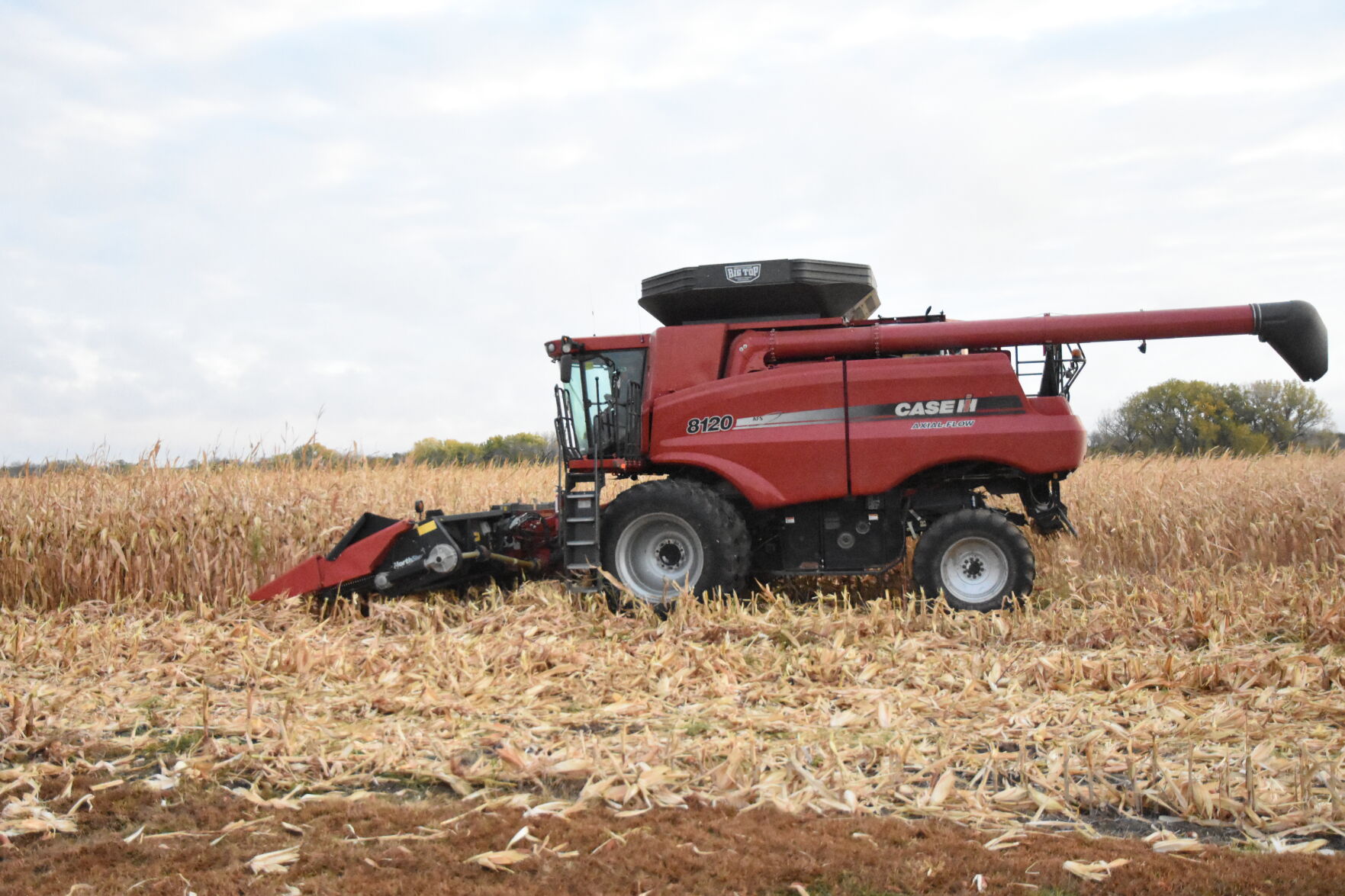 Rempel Harvest (27).JPG